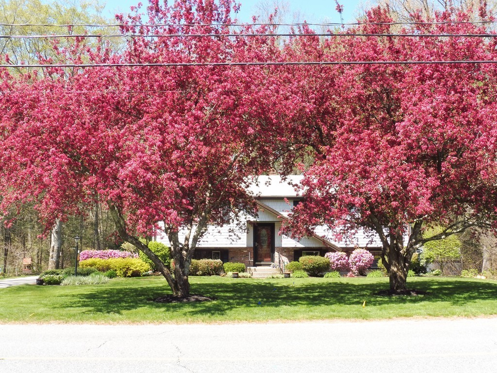 218 Old Farm Road Hanover, MA 02339 - Photo 1 of 24 Gallery Image 1