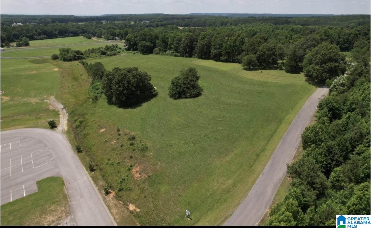 92 School House Road Somerville, AL 35670 - Photo 8 of 9