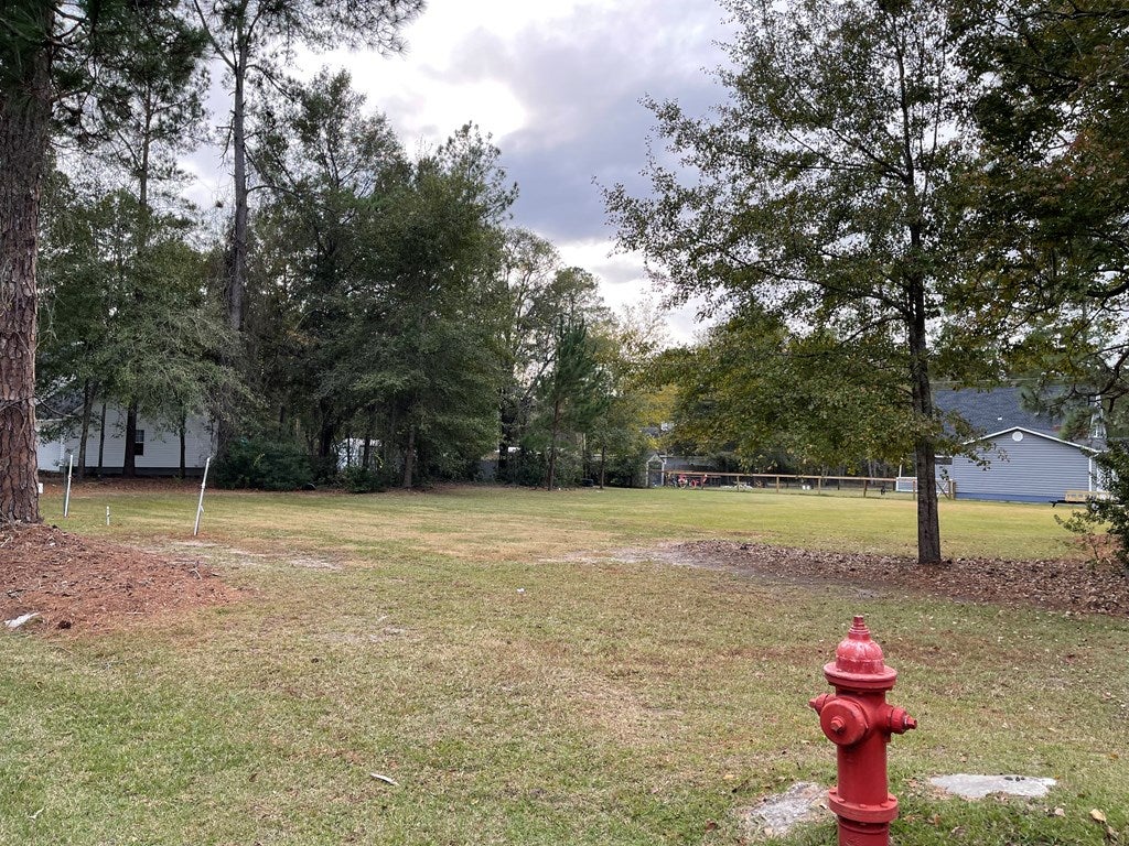 0 Bay Tree Road Nashville, GA 31639 - Photo 3 of 3 Gallery Image 3