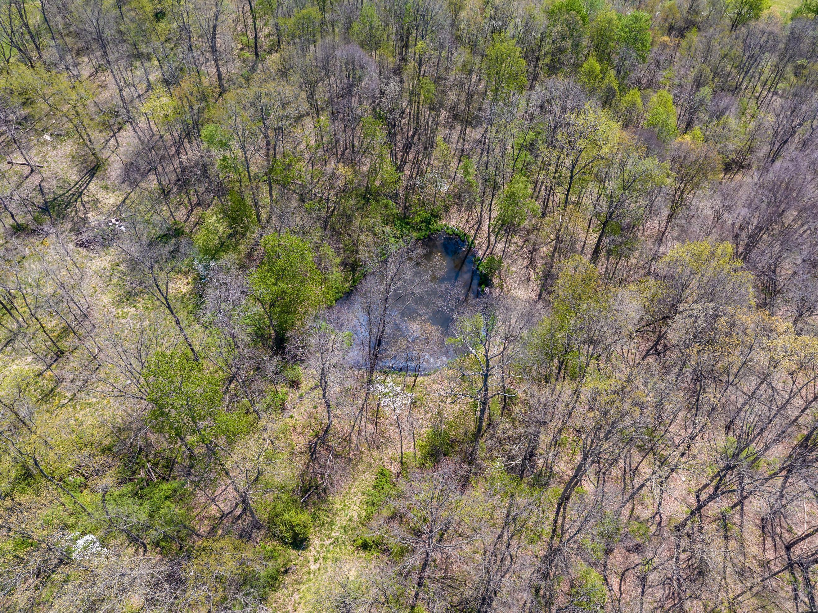 0 Bagley Rd Mount Mount Perry, OH 43760 - Photo 12 of 18 Bagley Rd.13.67-12