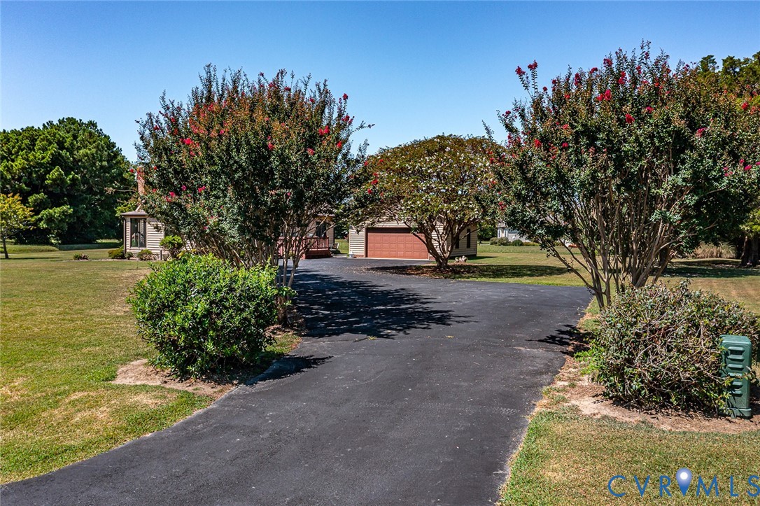 831 Fountain Gate Road Heathsville, VA 22473 - Photo 38 of 50 a view of a yard with plants and trees