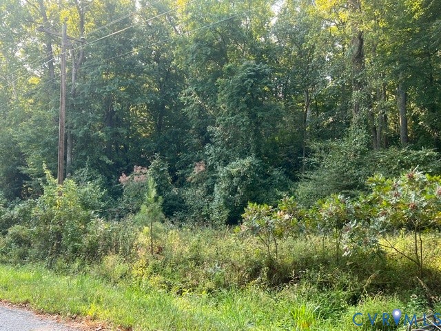 Tba Oakdale Road Waverly, VA 23890 - Photo 6 of 8 Wooded lot with mature trees and dense foliage