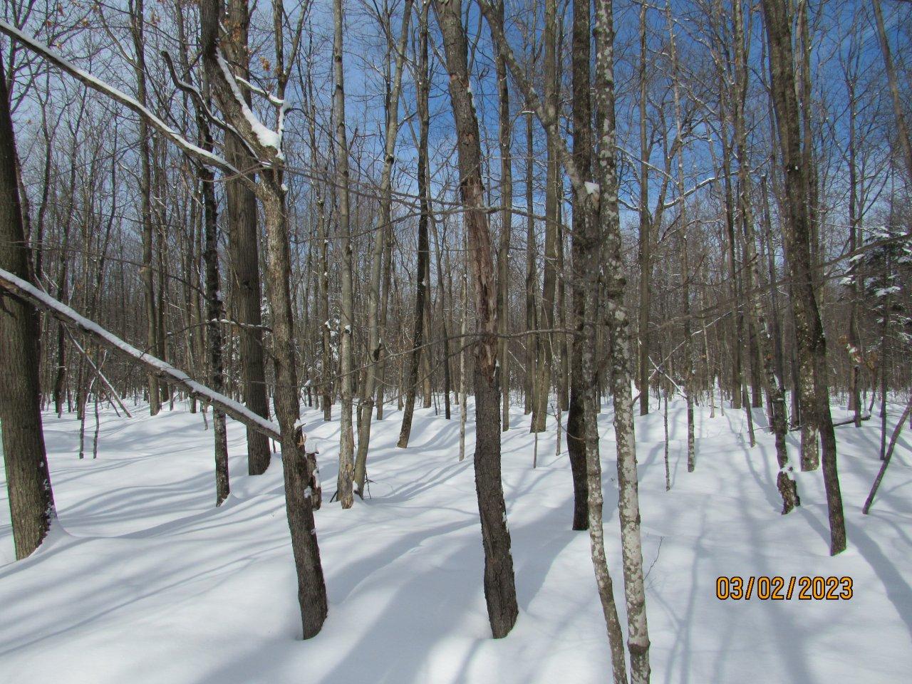 On Wonder Road Phillips, WI 54555 - Photo 12 of 19 Gallery Image 12