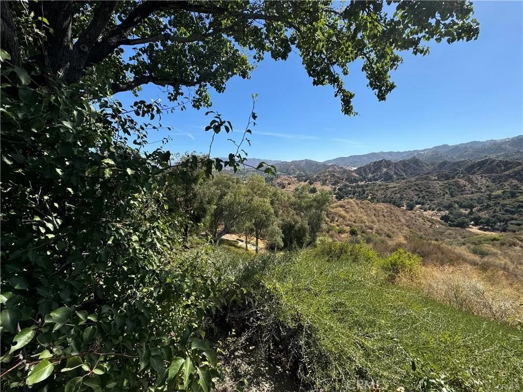 0 Chicory Court Stevenson Ranch, CA 91381 - Photo 5 of 6 a view of a tree in a field with a tree