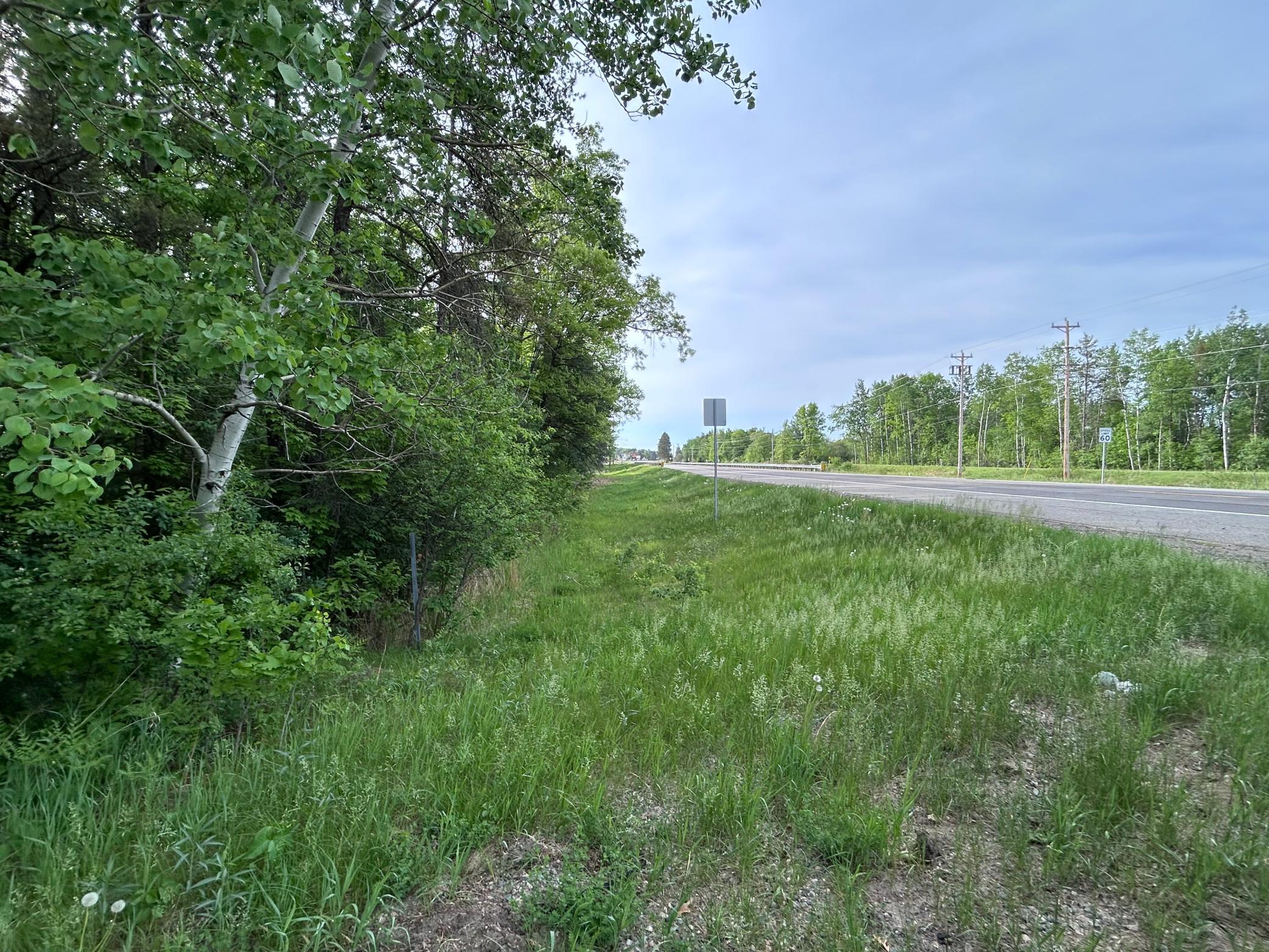 Tbd Front Street Pine River, MN 56474 - Photo 5 of 9