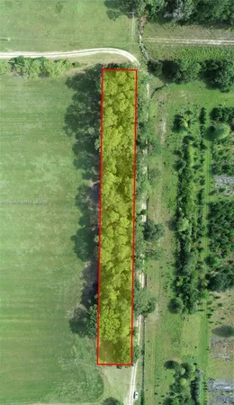 a view of a green yard with large trees