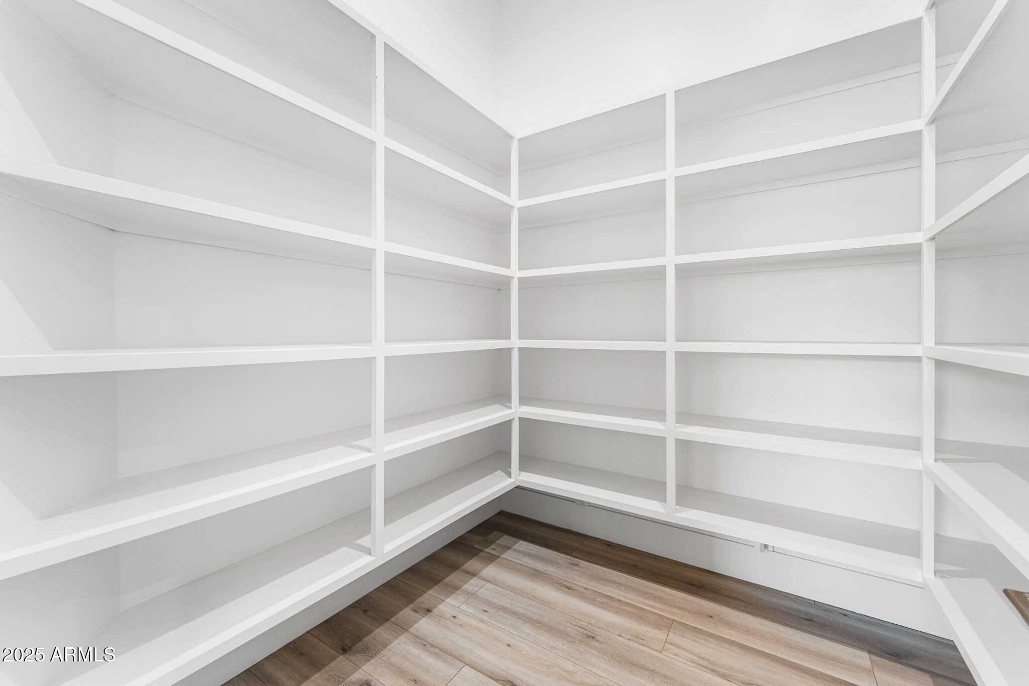 24614 South 183rd Street Gilbert, AZ 85298 - Photo 10 of 45 a view of walk in closet with empty racks