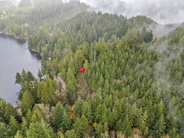 a backyard of a house with lots of green space and trees