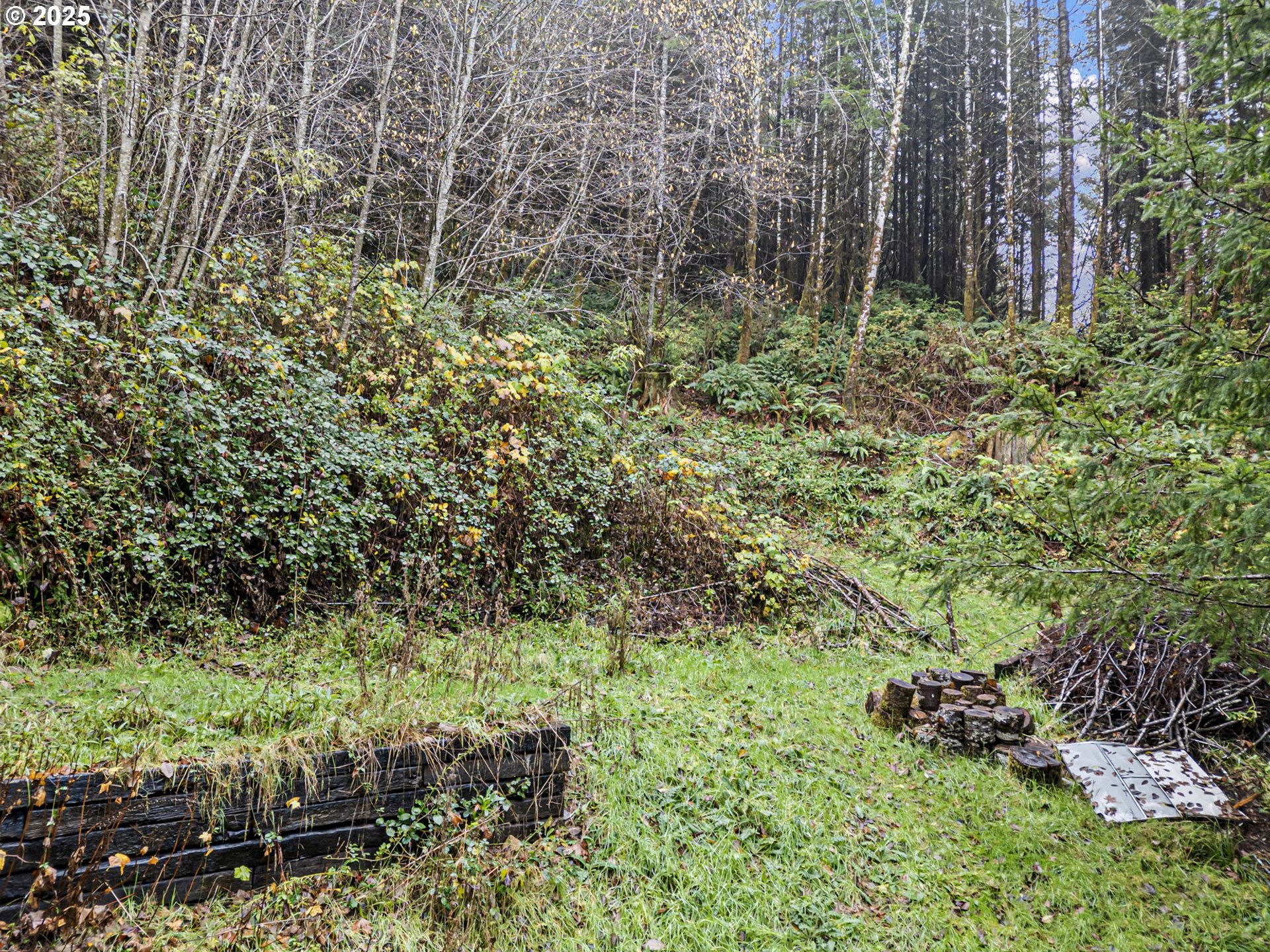 600 Erlandson Road Florence, OR 97439 - Photo 13 of 31 a view of bushes and trees