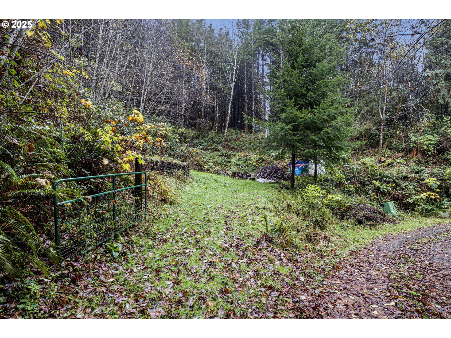 600 Erlandson Road Florence, OR 97439 - Photo 14 of 31 a backyard of a house with a yard and outdoor seating
