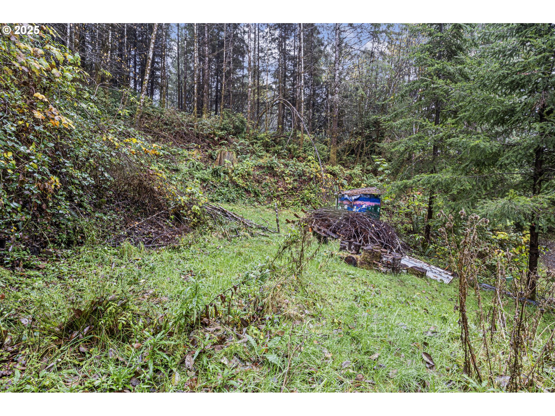 600 Erlandson Road Florence, OR 97439 - Photo 15 of 31 a view of a forest with a tree