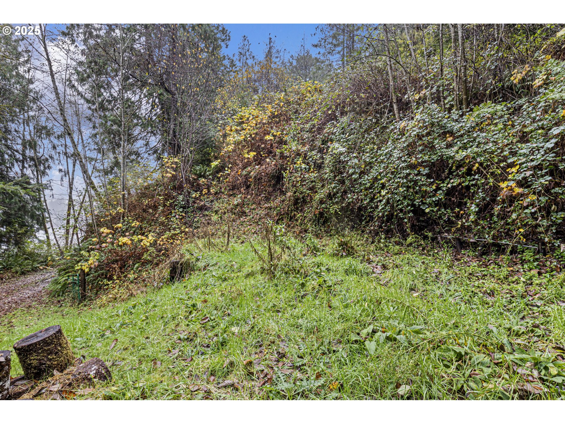 600 Erlandson Road Florence, OR 97439 - Photo 16 of 31 a view of a bunch of trees