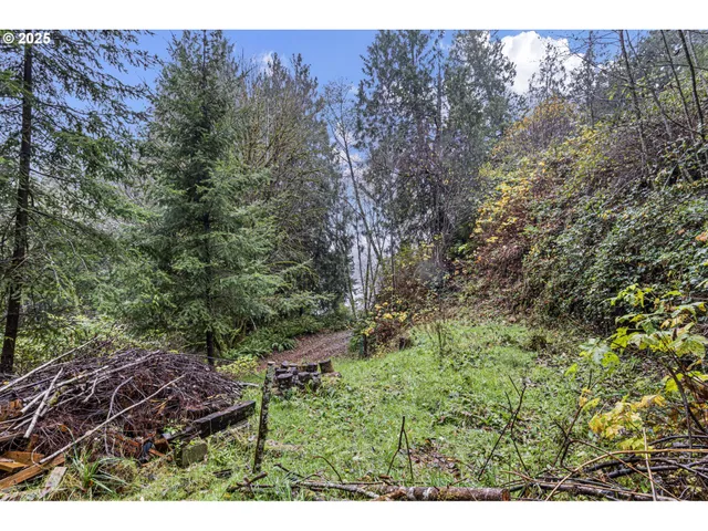 a view of outdoor space and a yard