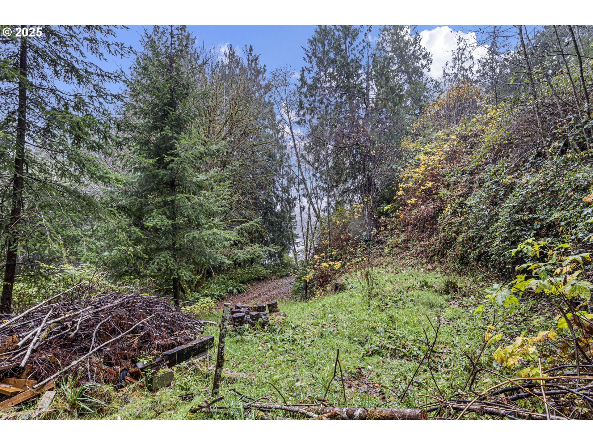 600 Erlandson Road Florence, OR 97439 - Photo 18 of 31 a view of outdoor space and yard