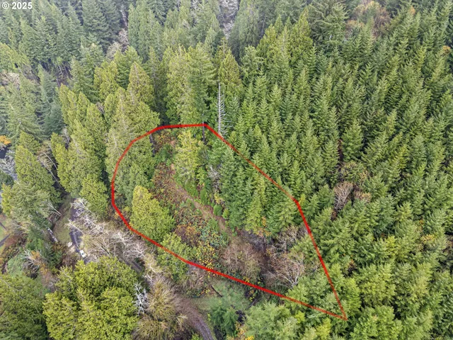 a backyard of a house with large trees and plants