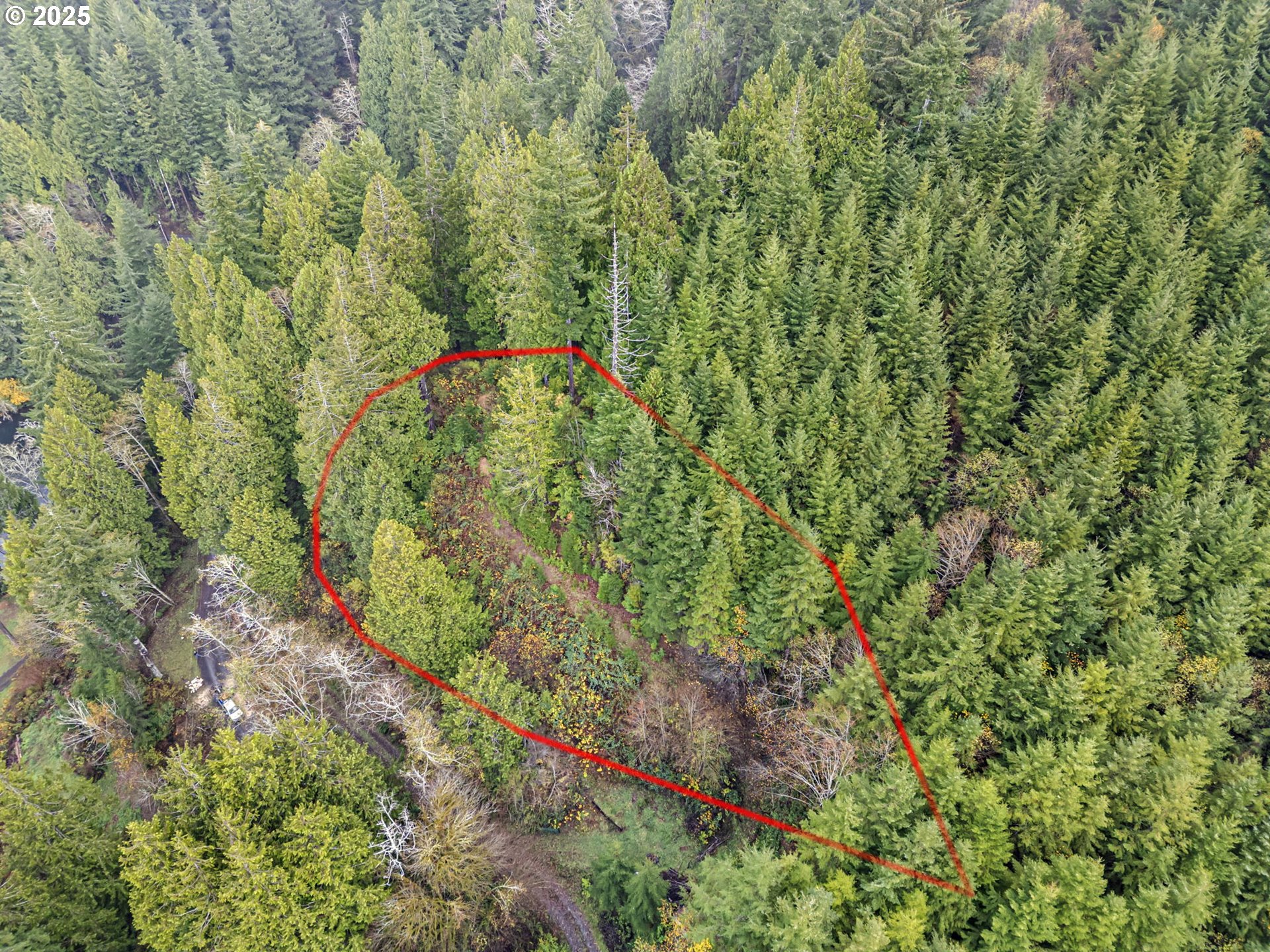 600 Erlandson Road Florence, OR 97439 - Photo 2 of 31 a backyard of a house with lots of green space and trees