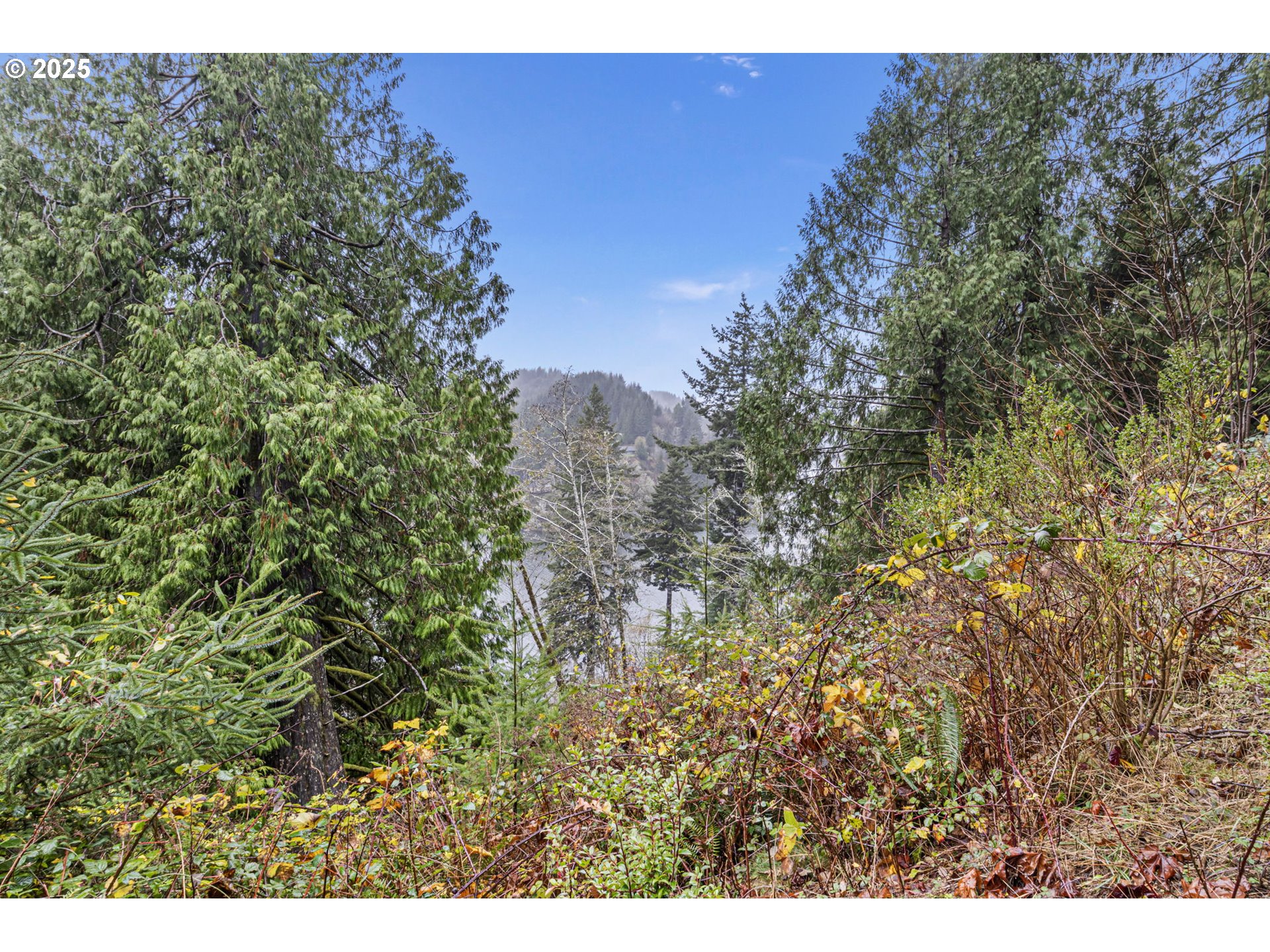 600 Erlandson Road Florence, OR 97439 - Photo 22 of 31 a view of a tree with a yard
