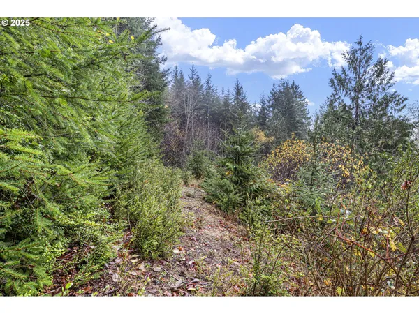 $95,000 | 600 Erlandson Road, Florence, OR 97439