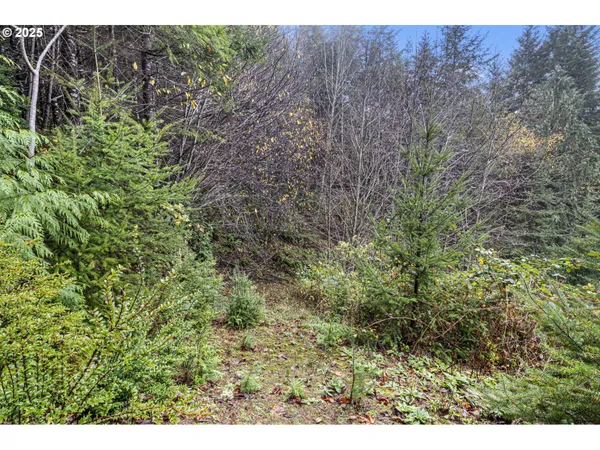 $95,000 | 600 Erlandson Road, Florence, OR 97439