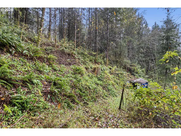 $95,000 | 600 Erlandson Road, Florence, OR 97439