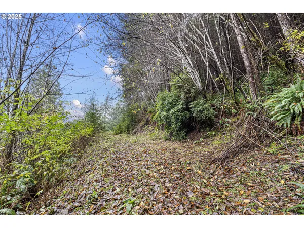 $95,000 | 600 Erlandson Road, Florence, OR 97439
