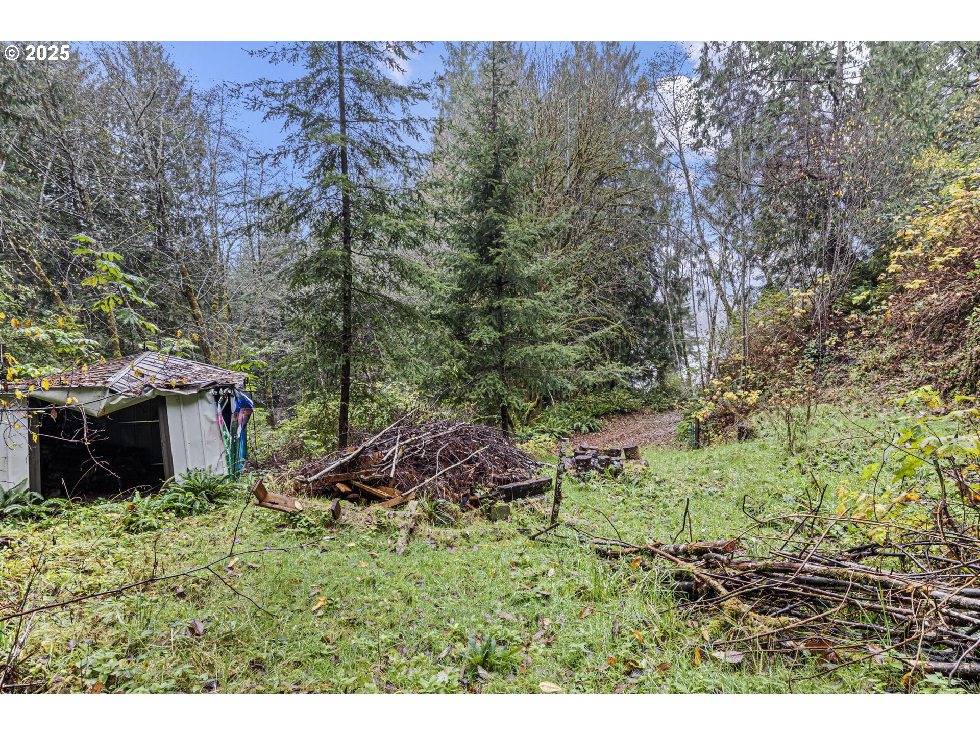 600 Erlandson Road Florence, OR 97439 - Photo 27 of 31 a view of a backyard with plants and large trees
