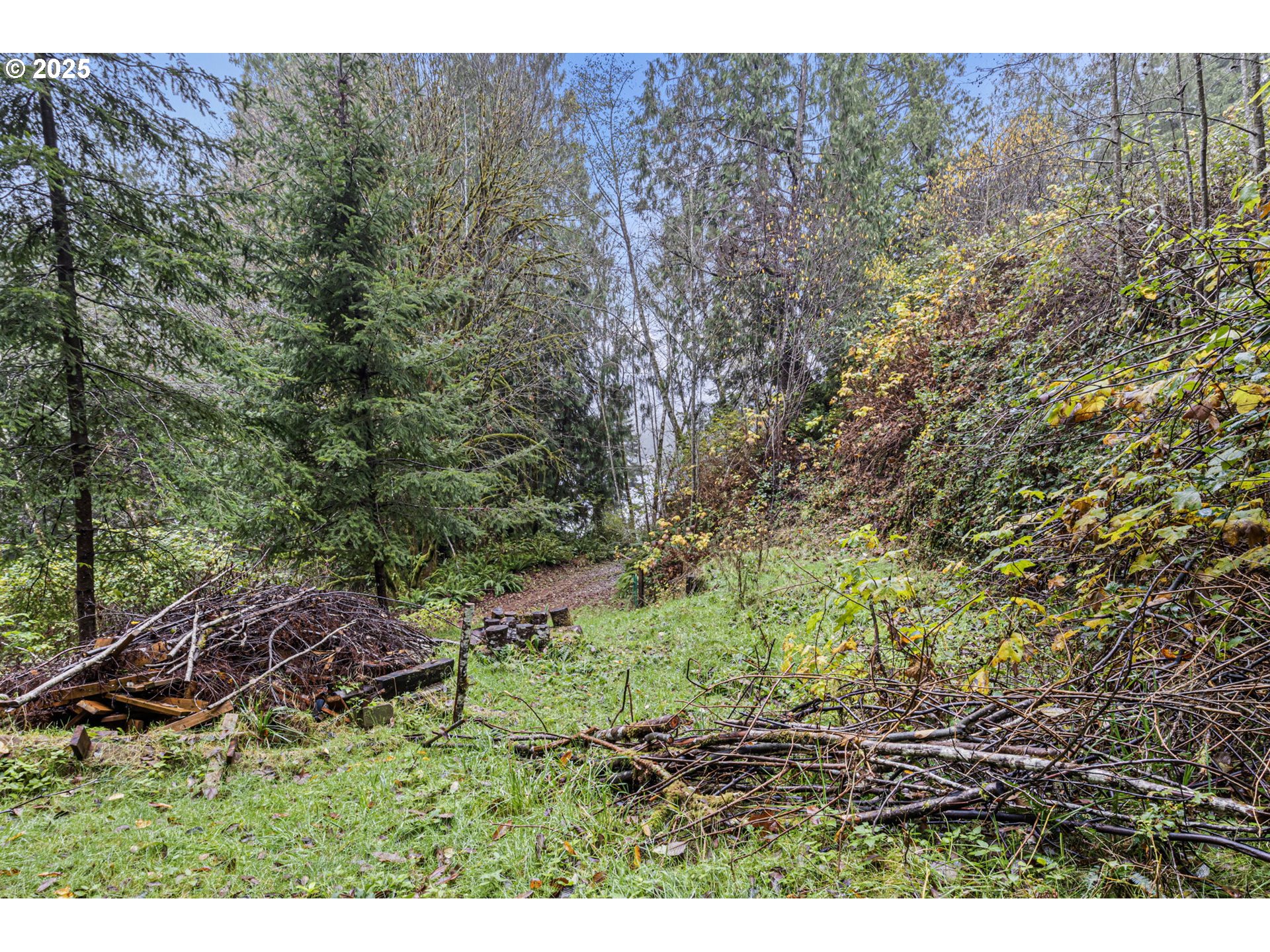 600 Erlandson Road Florence, OR 97439 - Photo 28 of 31 a view of outdoor space and yard