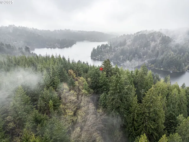 a view of a city with lush green forest