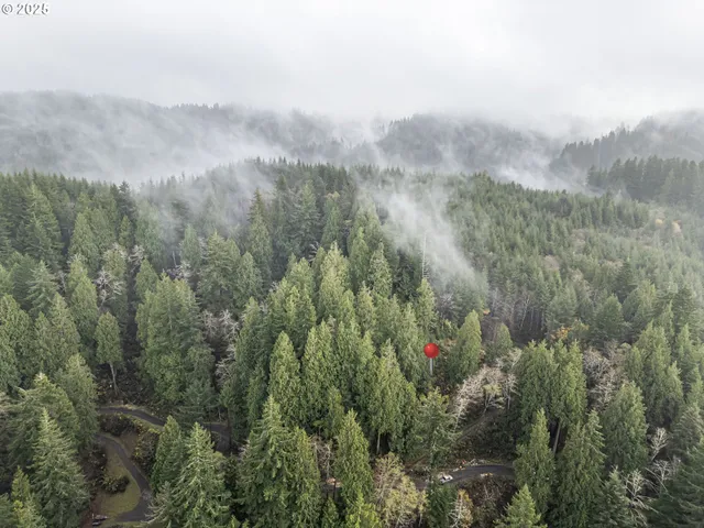 a view of a city with lush green forest
