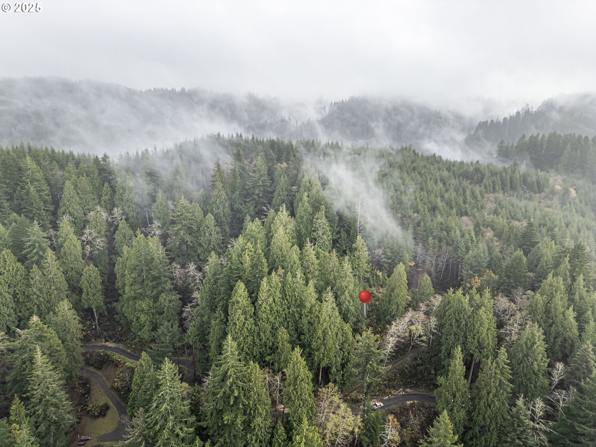 600 Erlandson Road Florence, OR 97439 - Photo 6 of 31 a view of a city with lush green forest