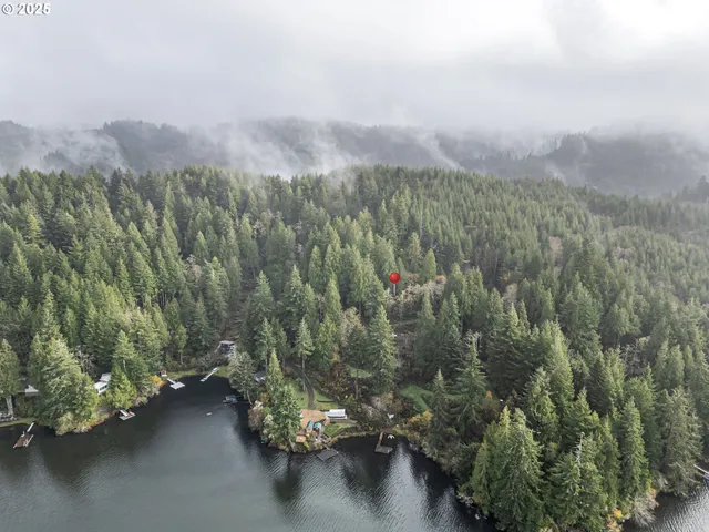 a view of a street with a lush green forest