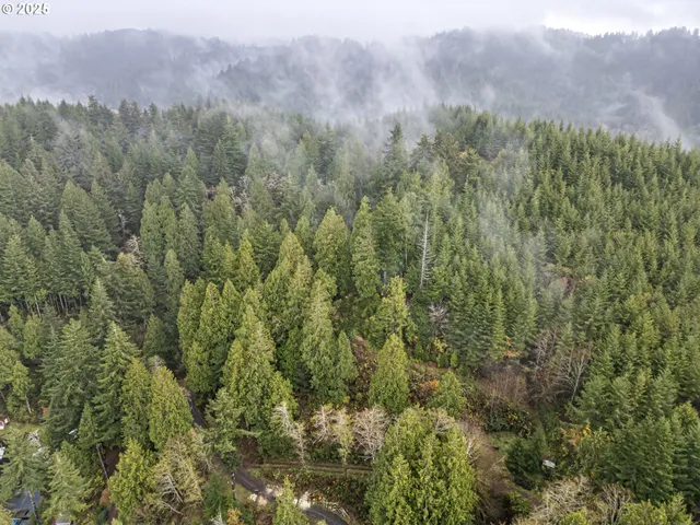 a view of a city with lush green forest