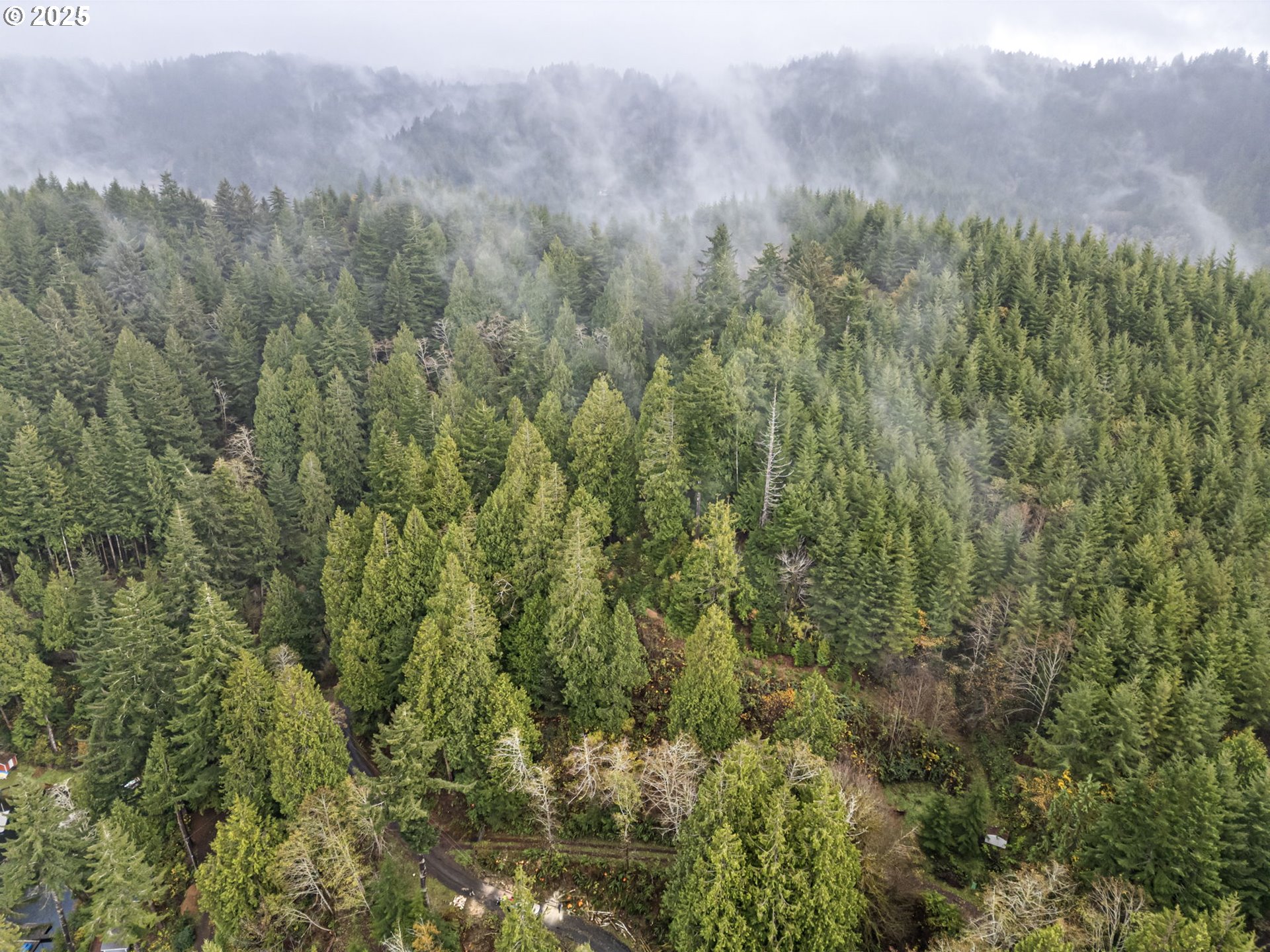 600 Erlandson Road Florence, OR 97439 - Photo 10 of 31 a view of a city with lush green forest