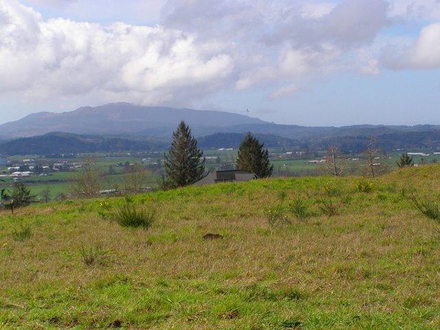 Lot 25 Skyview Road Tillamook, OR 97141 - Photo 2 of 21 P3180325.JPG