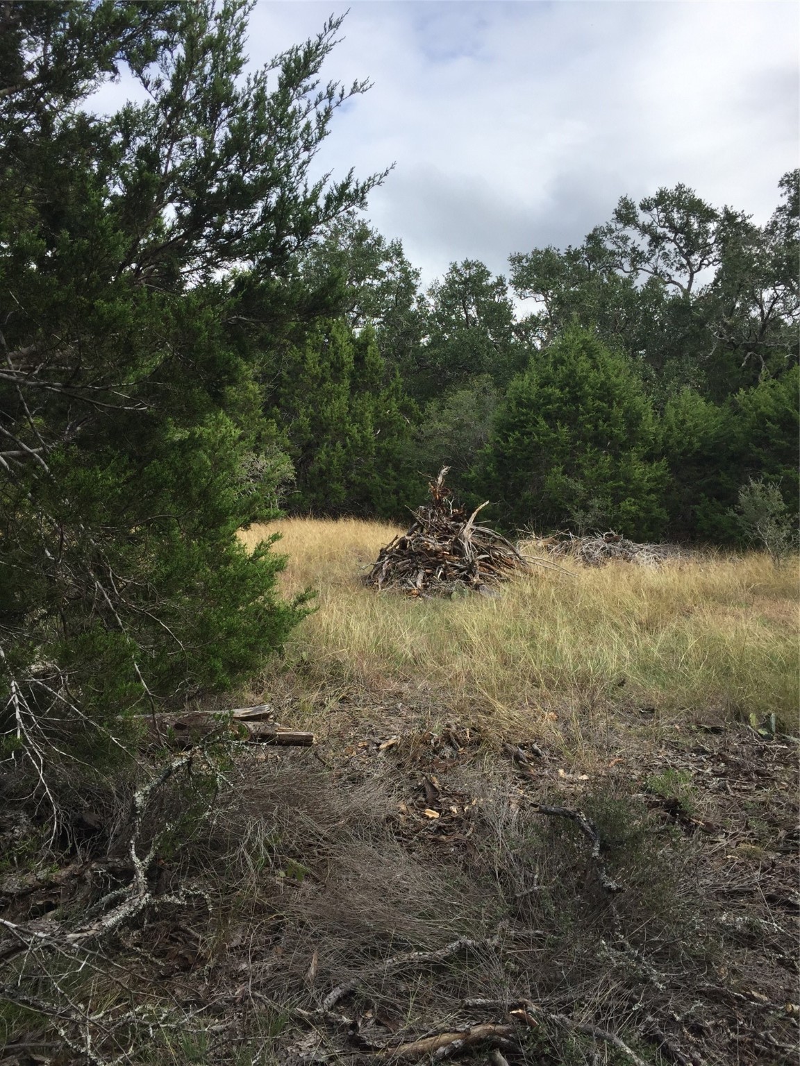 857 Rutherford Fischer, TX 78623 - Photo 4 of 5 a view of outdoor space and trees