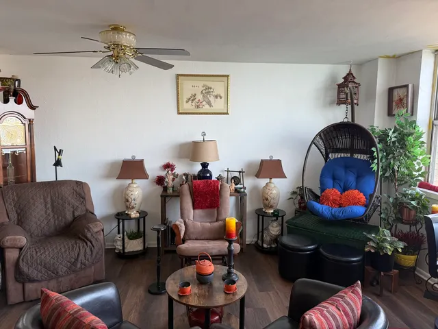 a living room with furniture and a potted plant