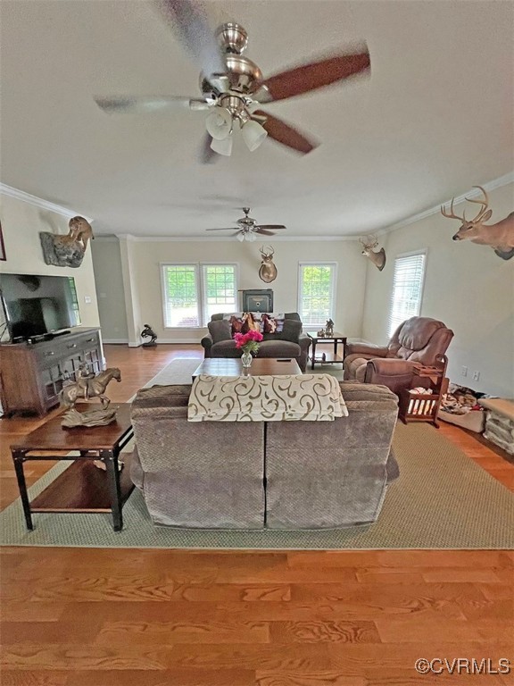 132 Forest View Road Cumberland, VA 23040 - Photo 3 of 31 Living room with ceiling fan, plenty of natural li