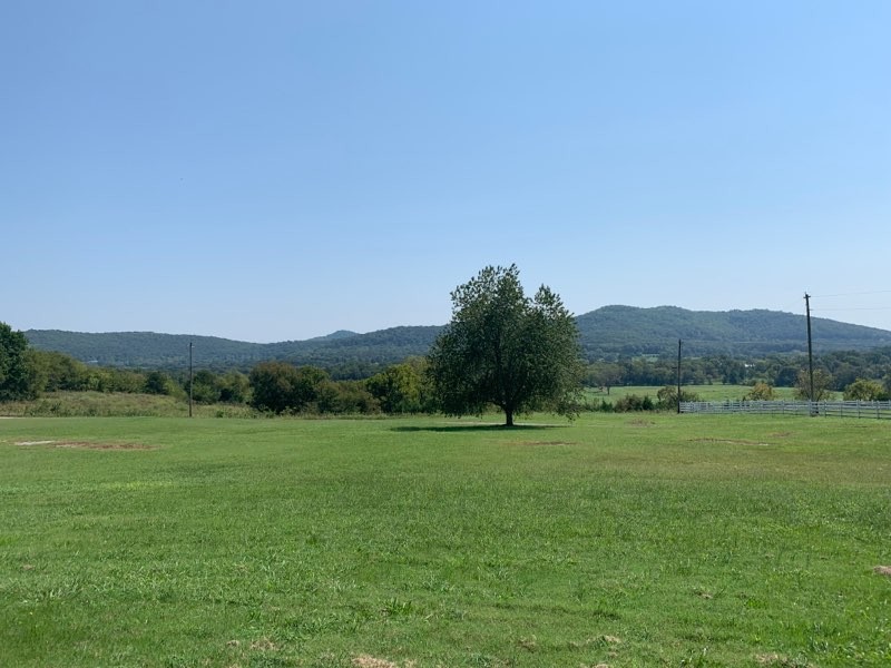 156 Flat Rock Road Lebanon, TN 37090 - Photo 3 of 6 Gallery Image 3