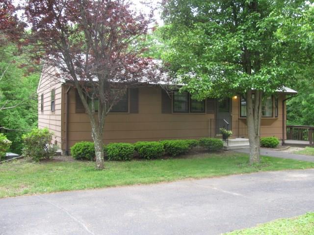 a backyard of a house with plants and large tree