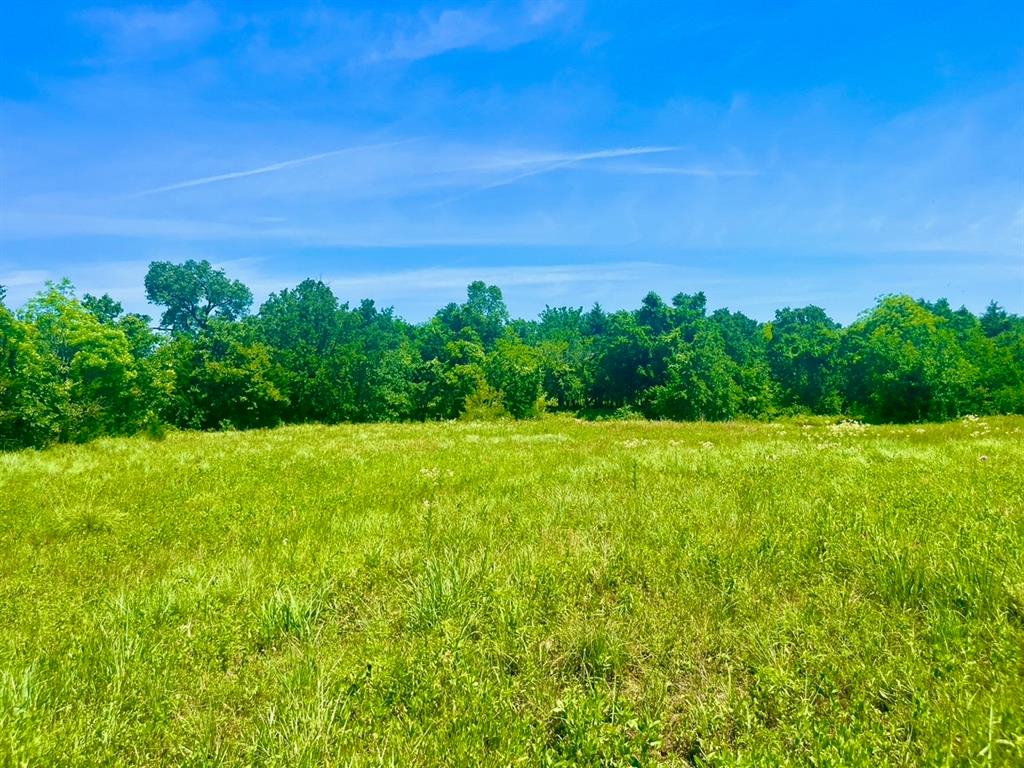 Lot 102 East Arlo Road Harker Heights, TX 76548 - Photo 2 of 9 a view of a green field with plants in back yard