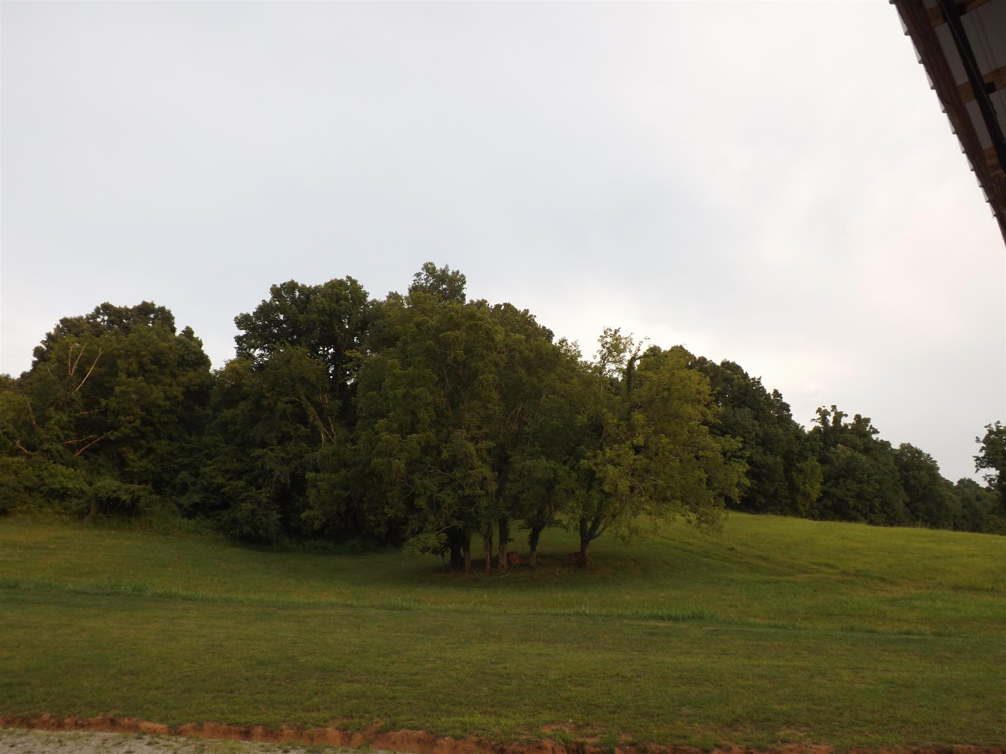 170 Milky Way Road Pulaski, TN 38478 - Photo 27 of 28 Gallery Image 27