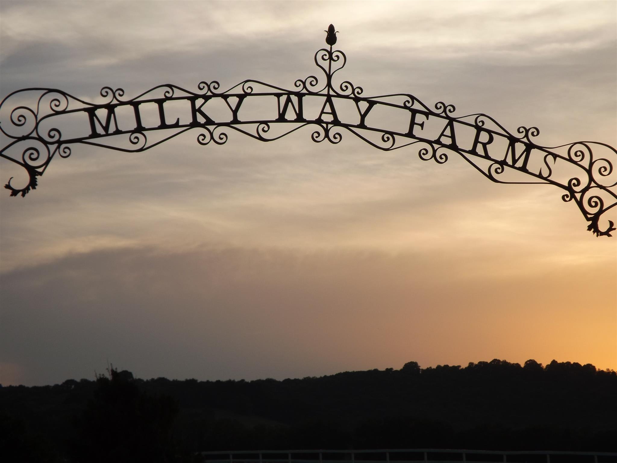 170 Milky Way Road Pulaski, TN 38478 - Photo 28 of 28 Gallery Image 28