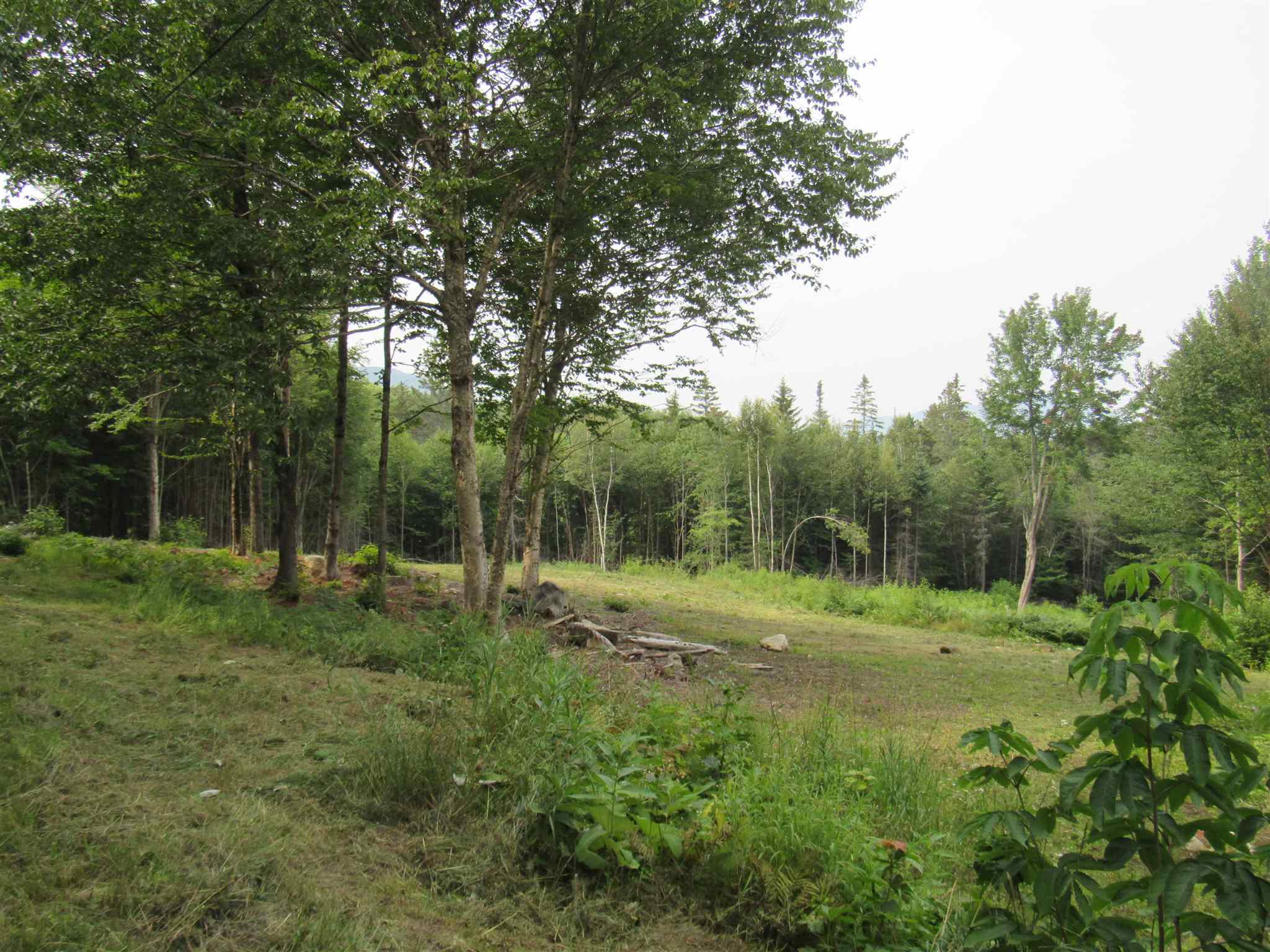 500 Morey Road Sutton, VT 05867 - Photo 14 of 22 Gallery Image 14