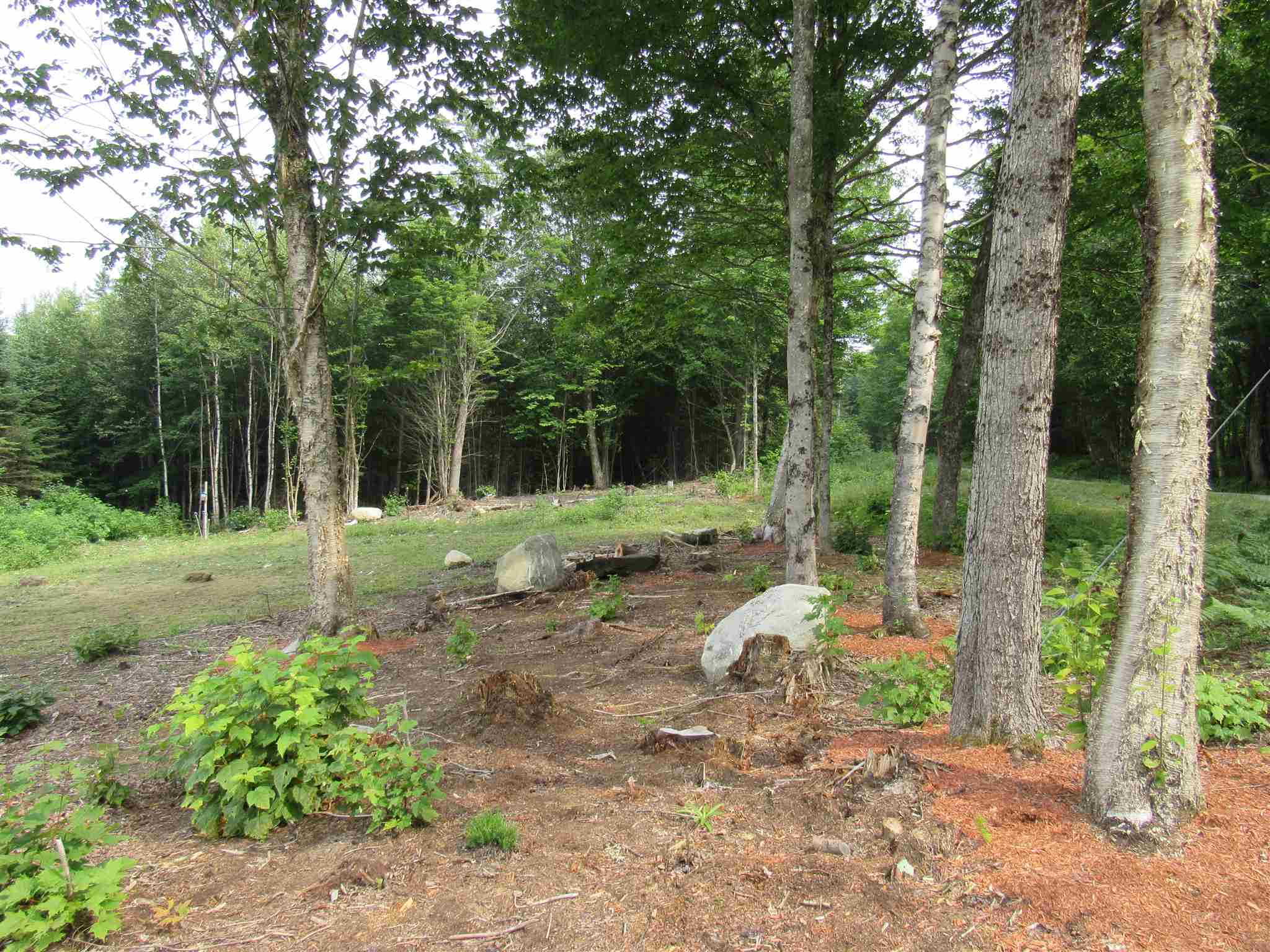 500 Morey Road Sutton, VT 05867 - Photo 22 of 22 Gallery Image 22