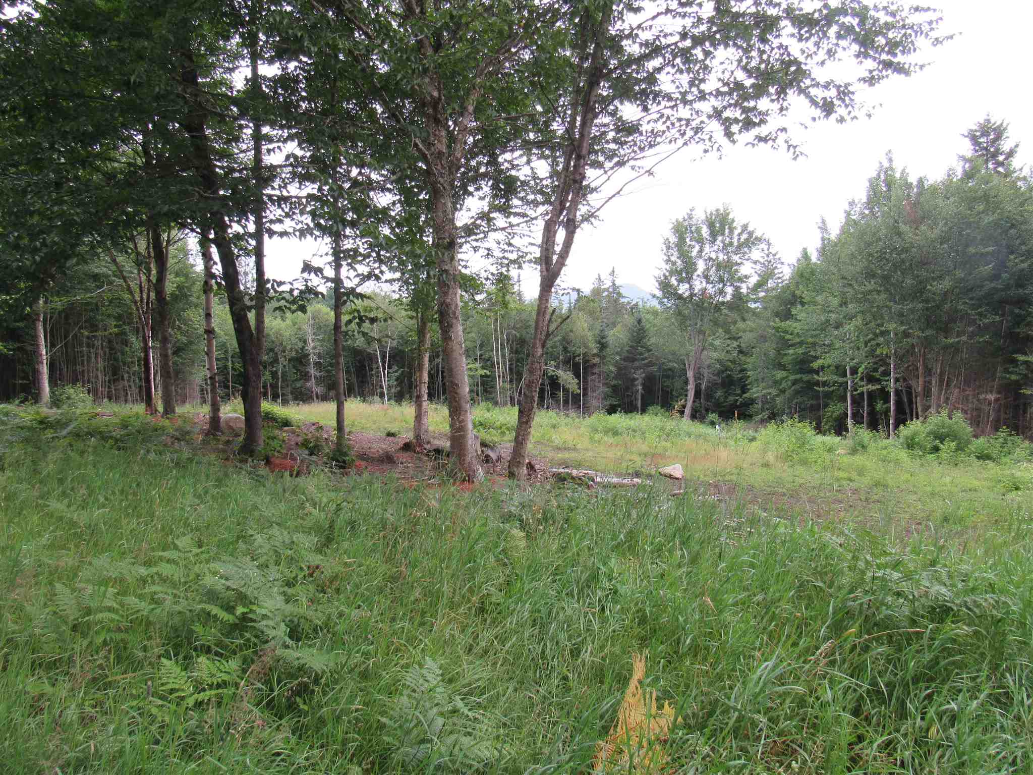 500 Morey Road Sutton, VT 05867 - Photo 4 of 22 Gallery Image 4