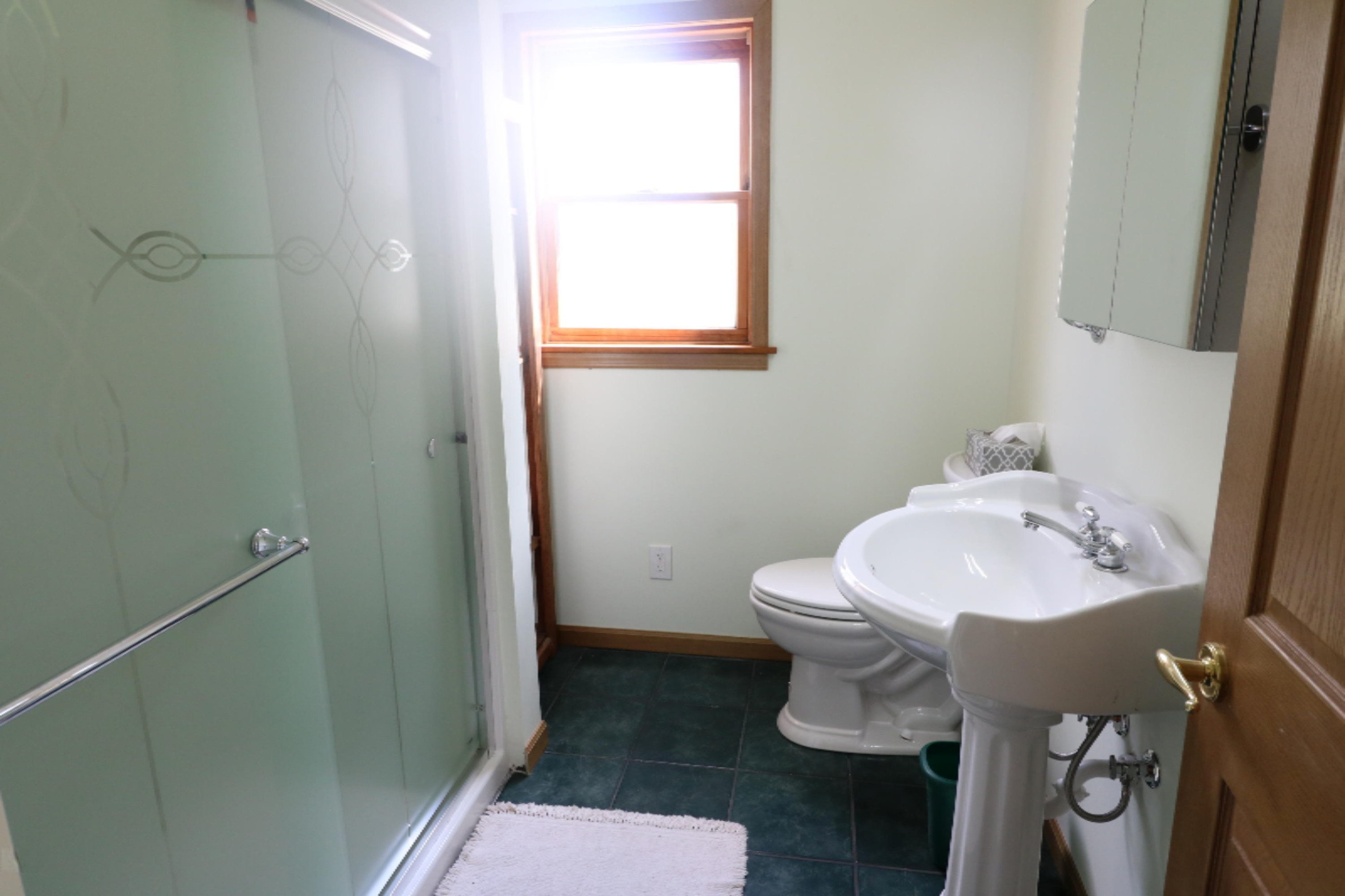 68918 Territorial Road Watervliet, MI 49098 - Photo 17 of 19 Master bath