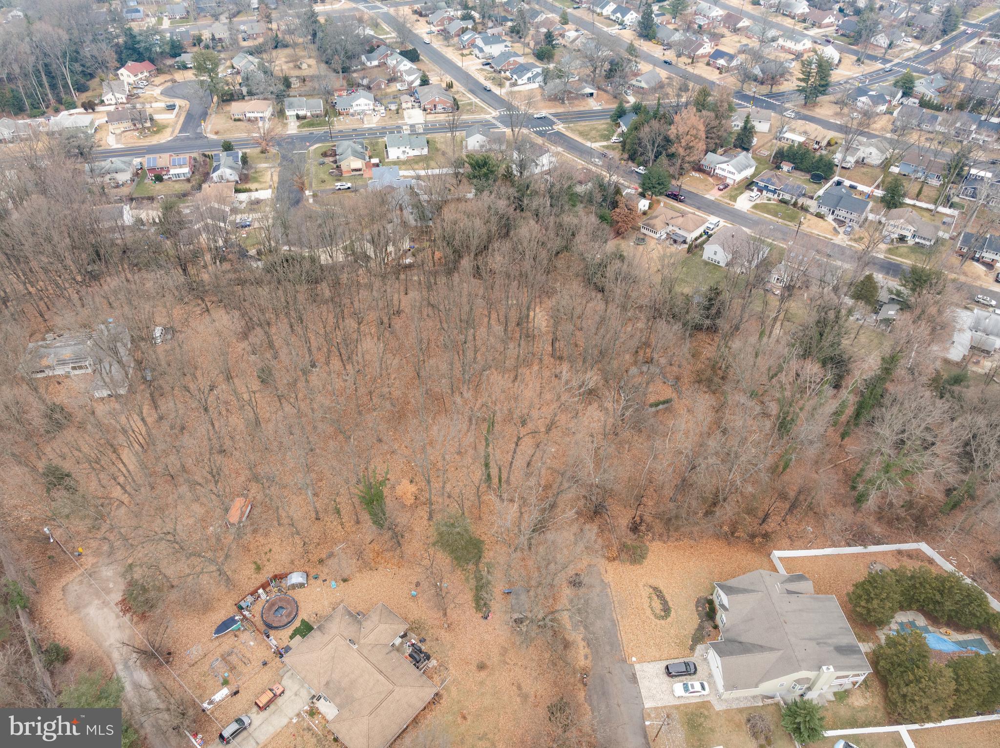 a view of lot of trees