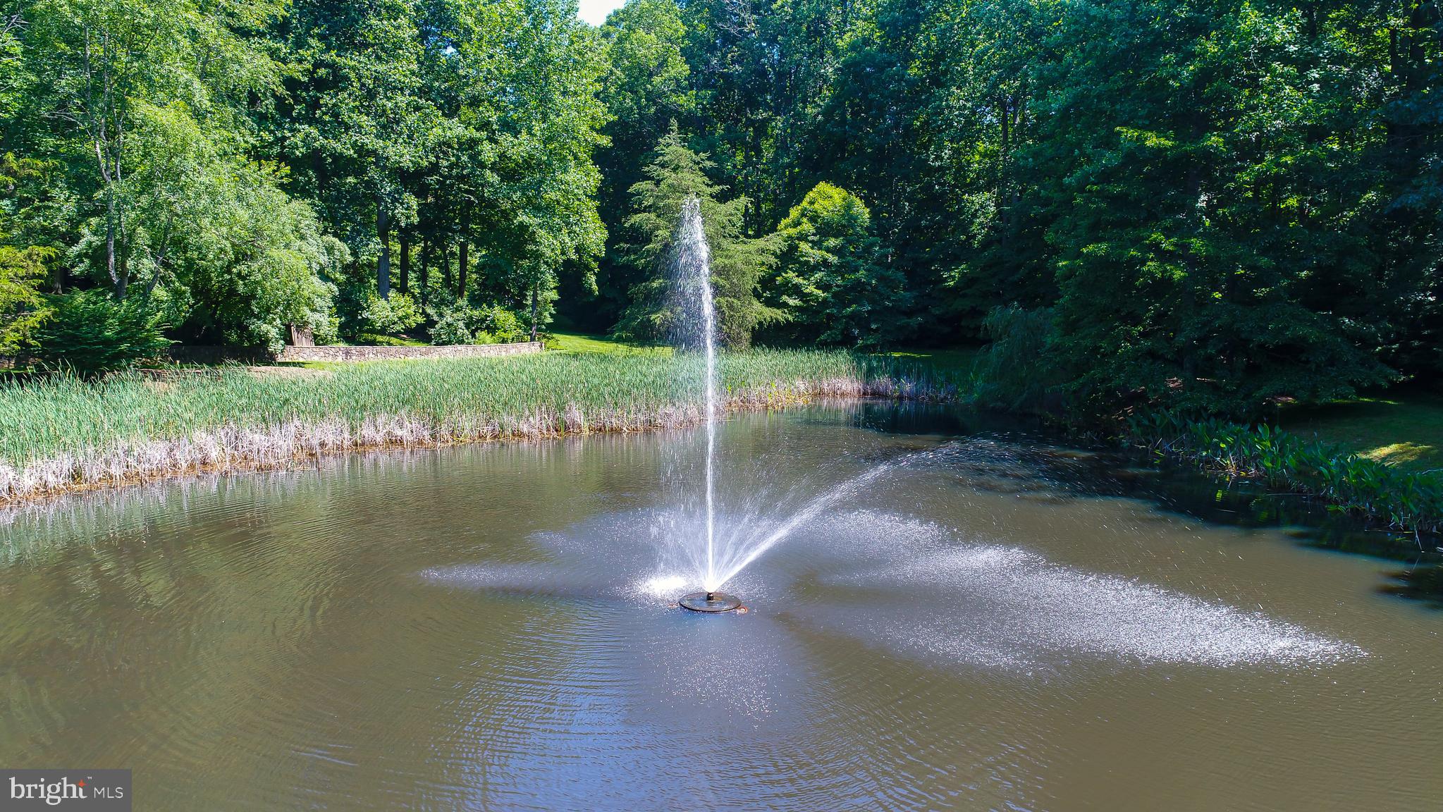 19 Winning Colors Road Stafford, VA 22556 - Photo 50 of 58 Refreshing fountain invites you into neighborhood