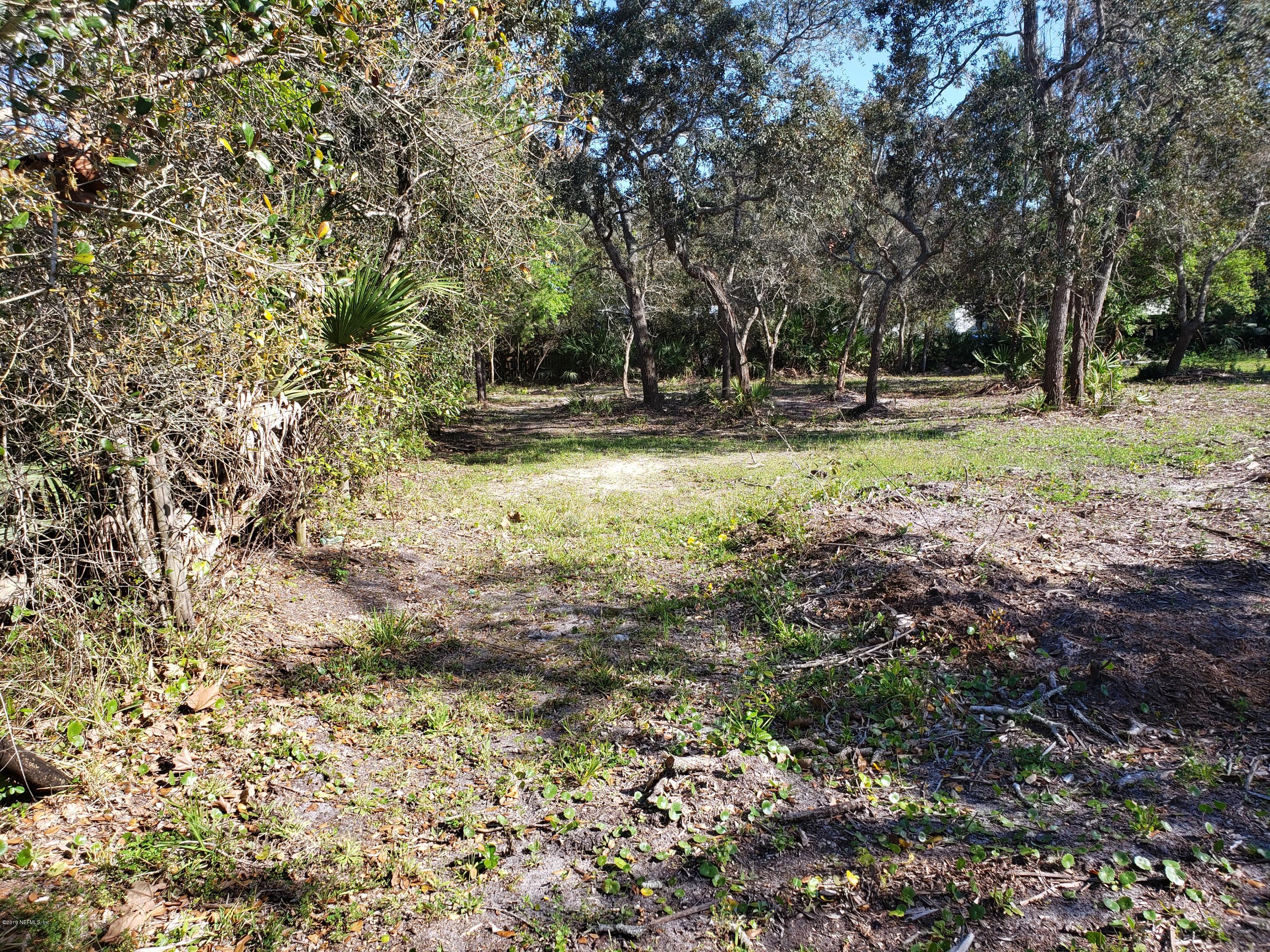 325 Dusty Road St. Augustine, FL 32095 - Photo 9 of 11 a view of outdoor space with trees