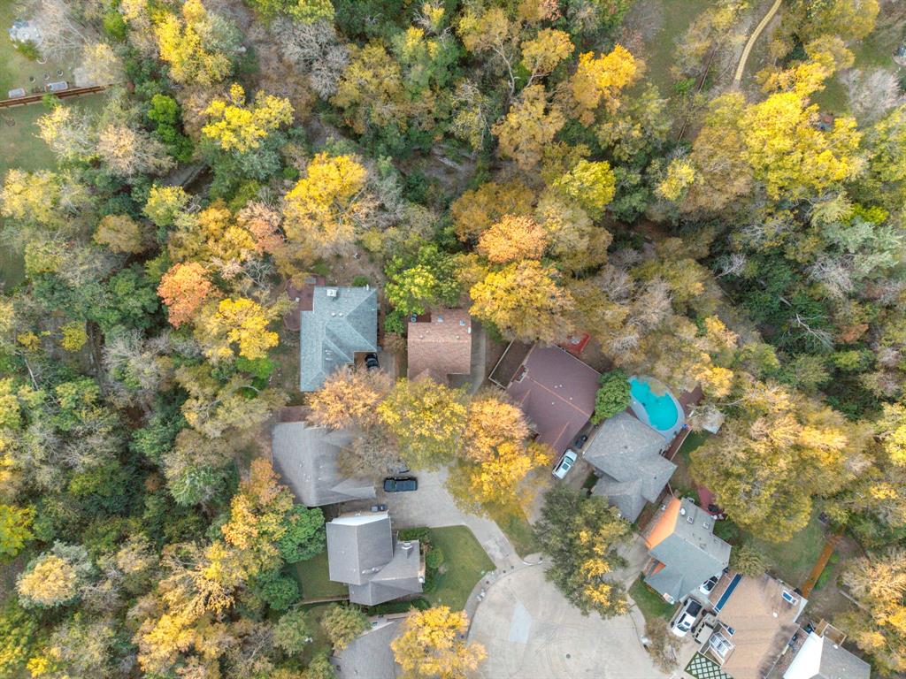 13347 Pandora Circle Dallas, TX 75238 - Photo 34 of 36 a picture of flowers